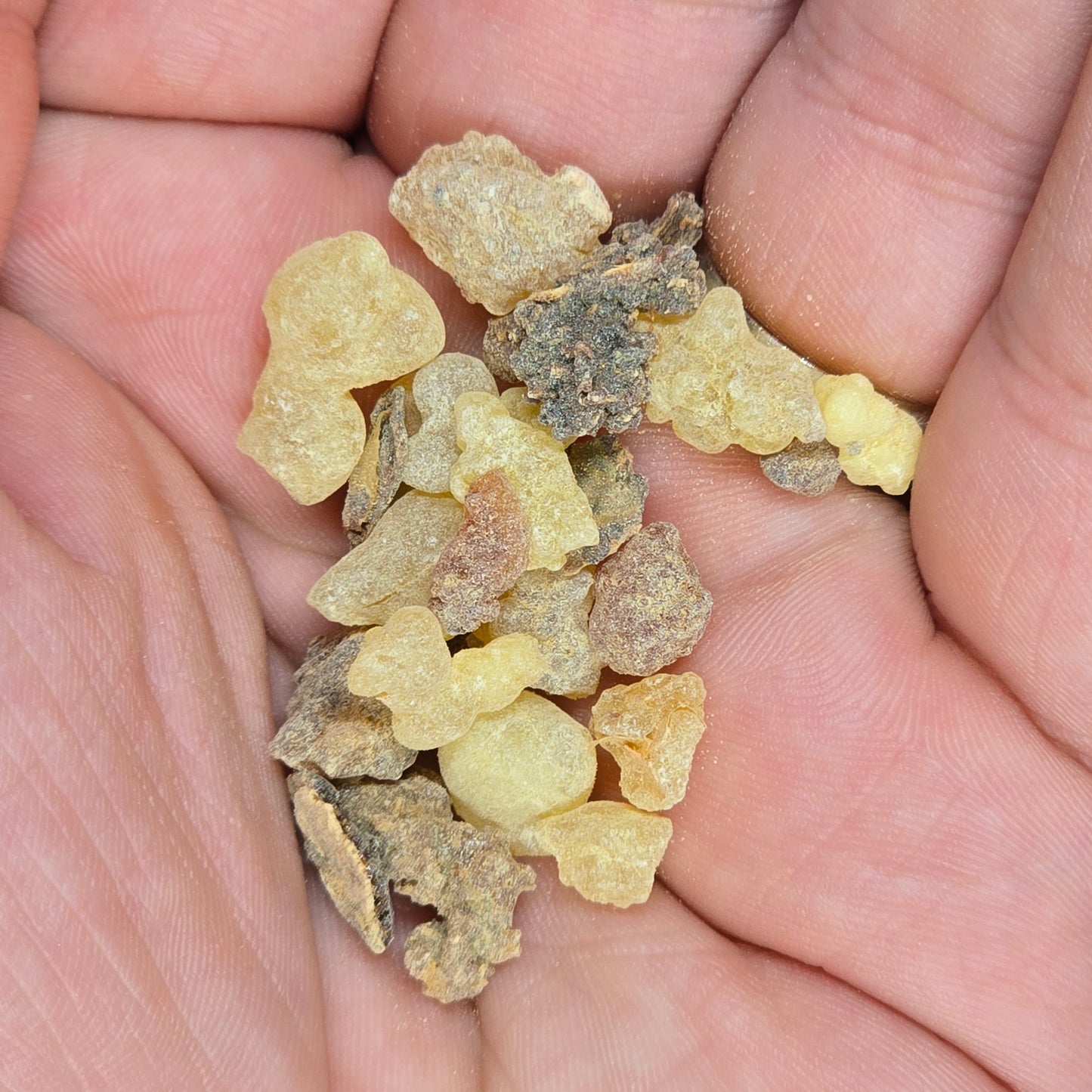Frankincense and Myrrh Blend