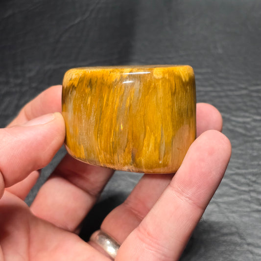 Petrified Wood Specimen Small