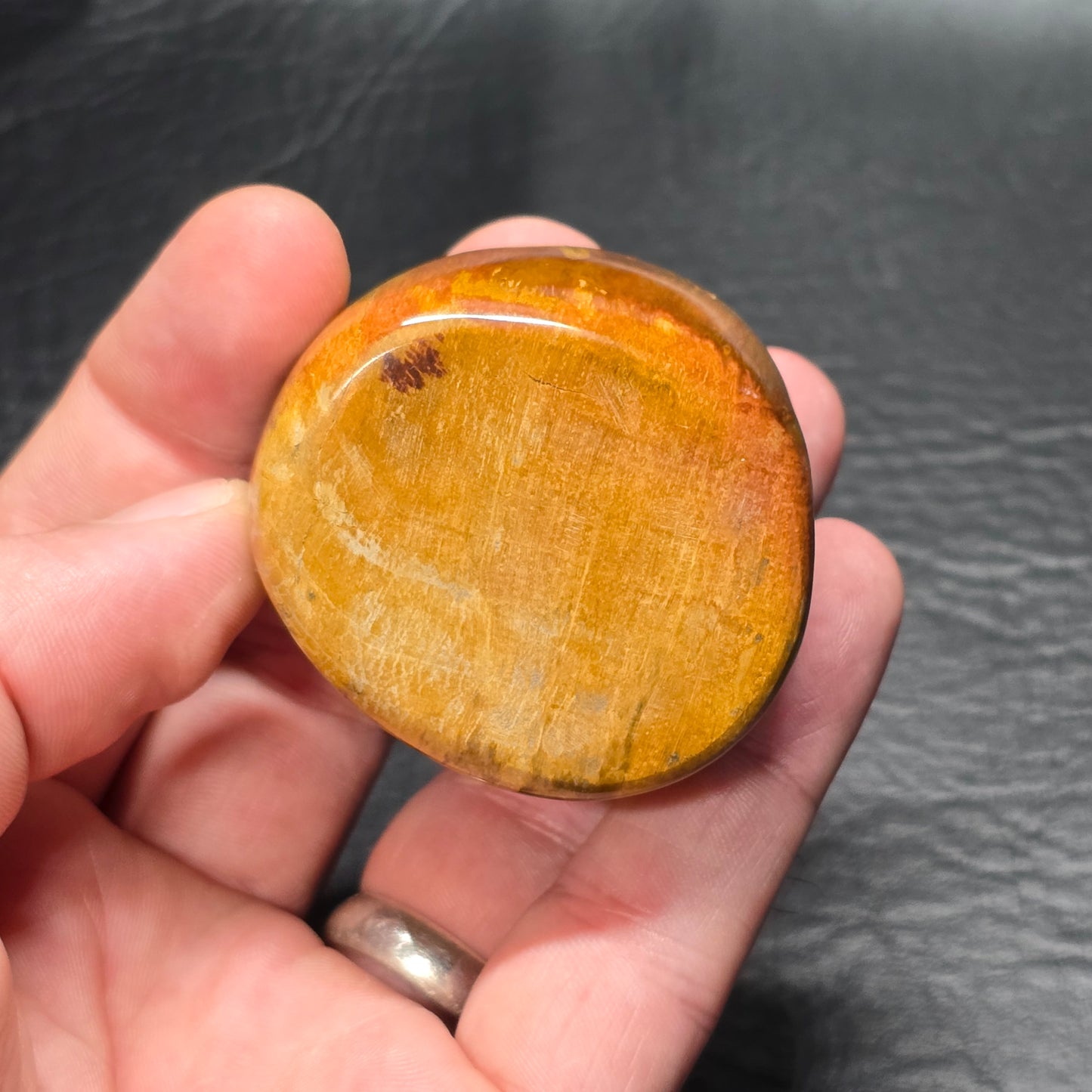 Petrified Wood Specimen Small