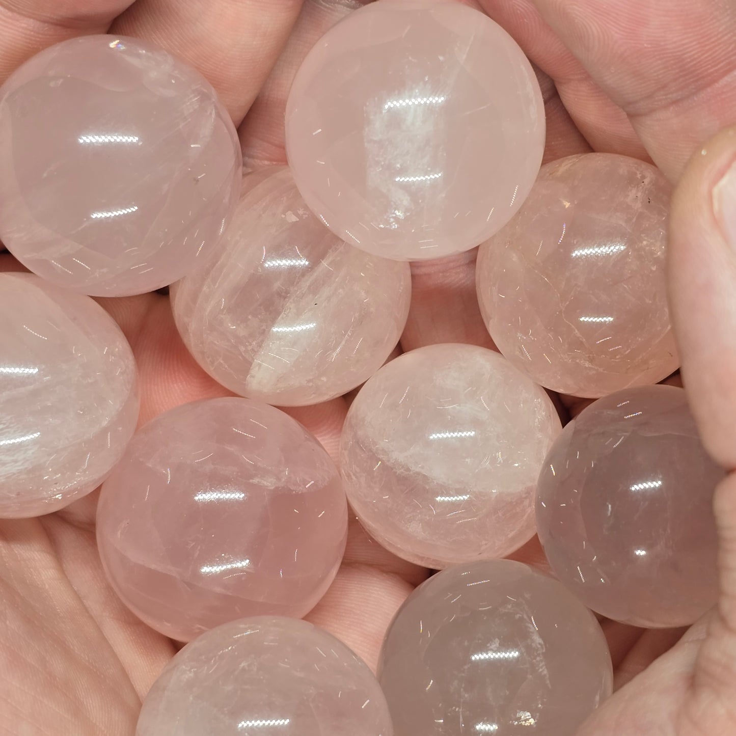 Rose Quartz Spheres Six Line Star