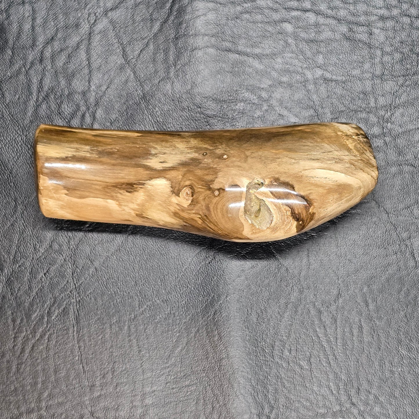 Large Petrified Wood Specimen