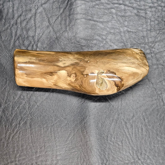 Large Petrified Wood Specimen