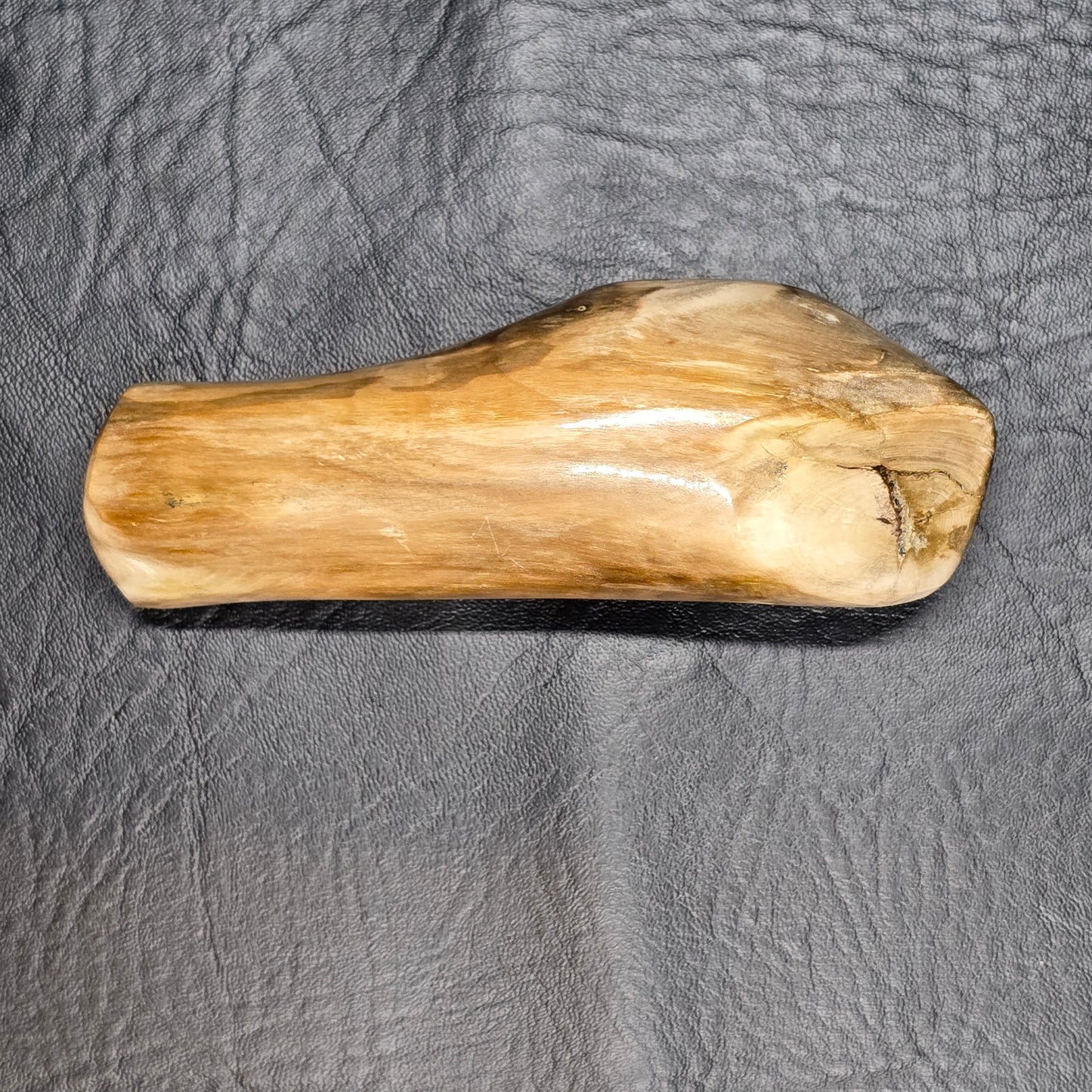 Large Petrified Wood Specimen