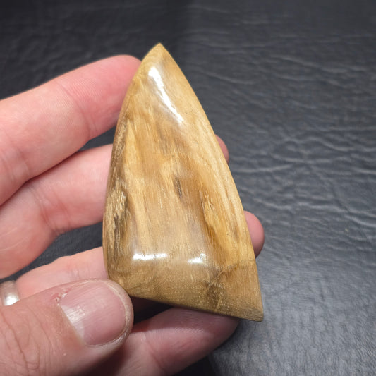 Petrified Wood Freeform