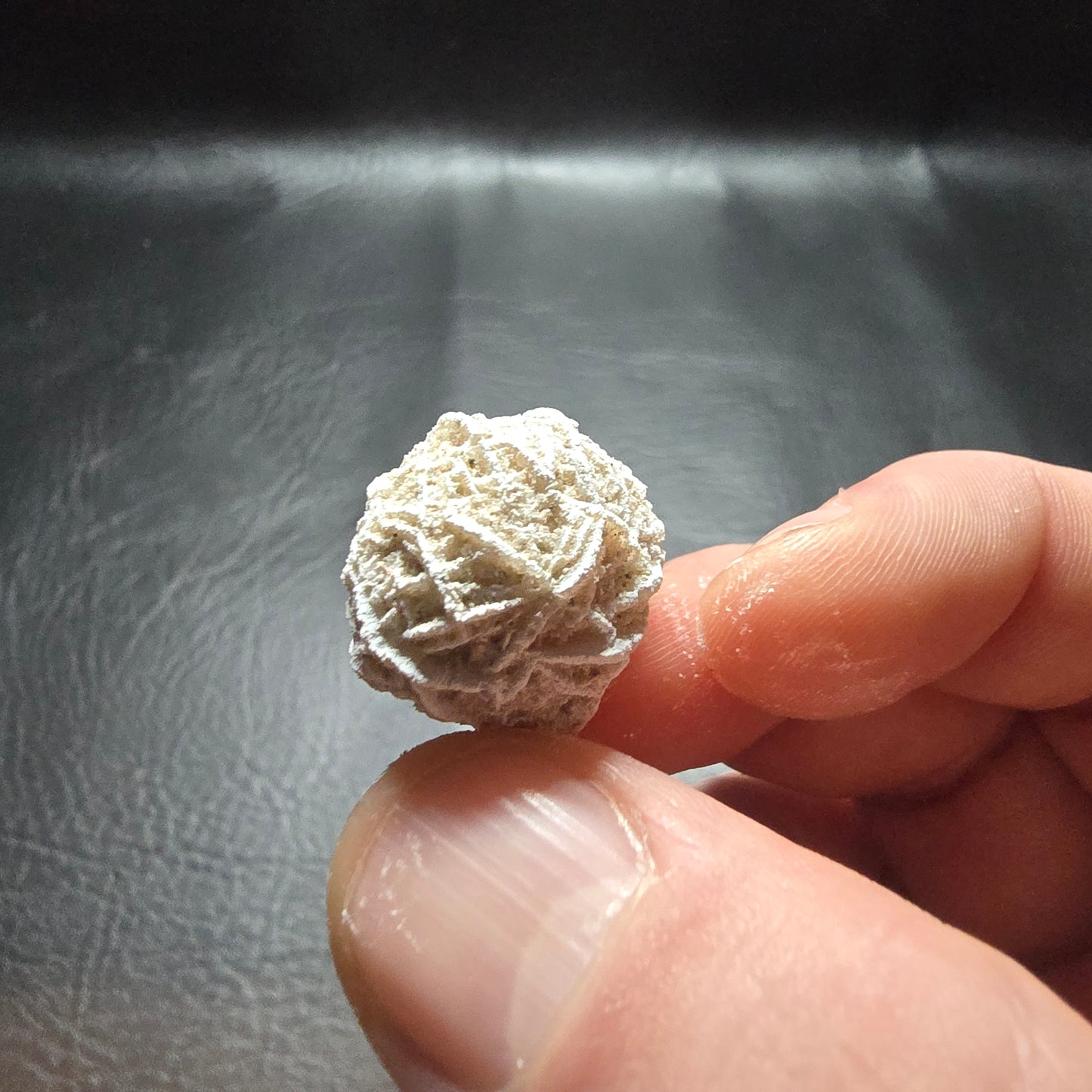Desert Rose Small
