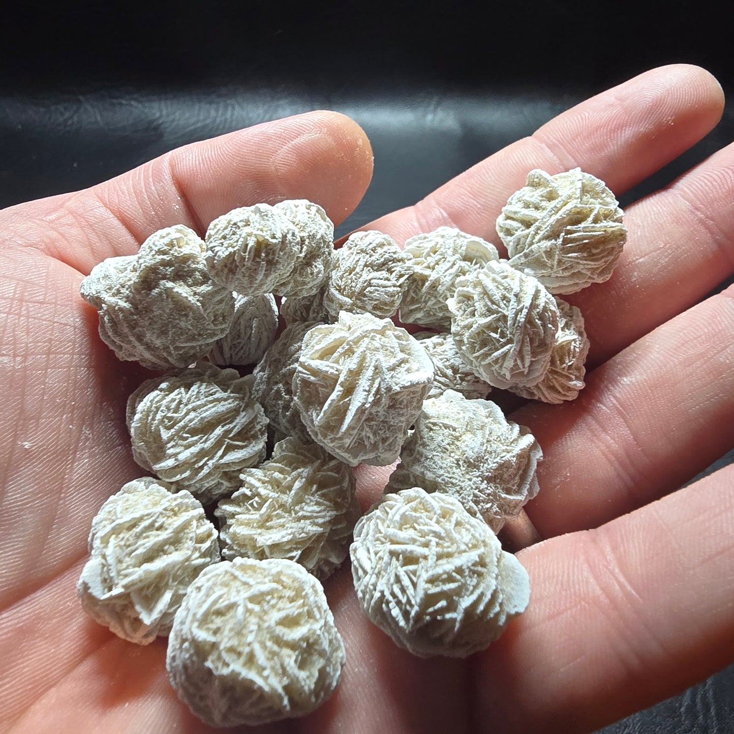 Desert Rose Small