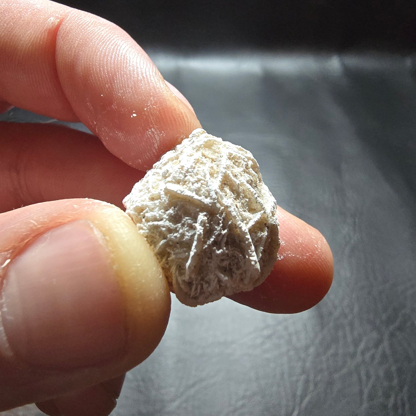Desert Rose Small