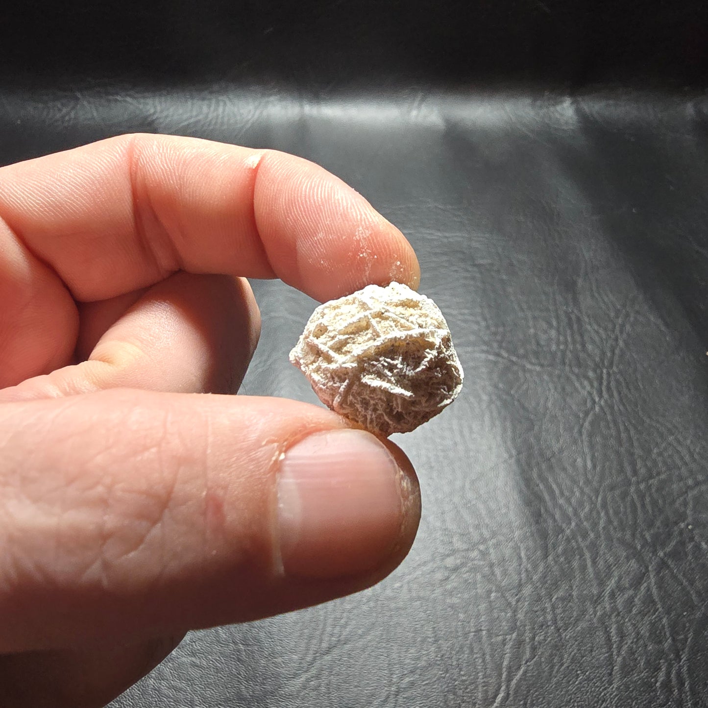 Desert Rose Small