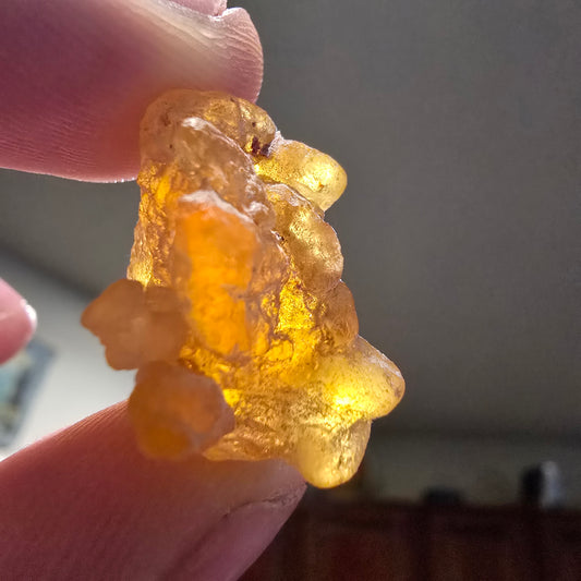 Frankincense B Grade