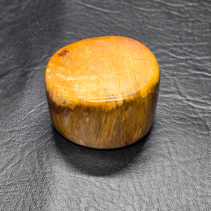 Petrified Wood Specimen Small