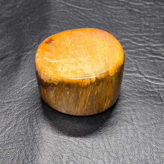 Petrified Wood Specimen Small