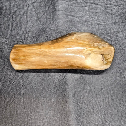 Large Petrified Wood Specimen