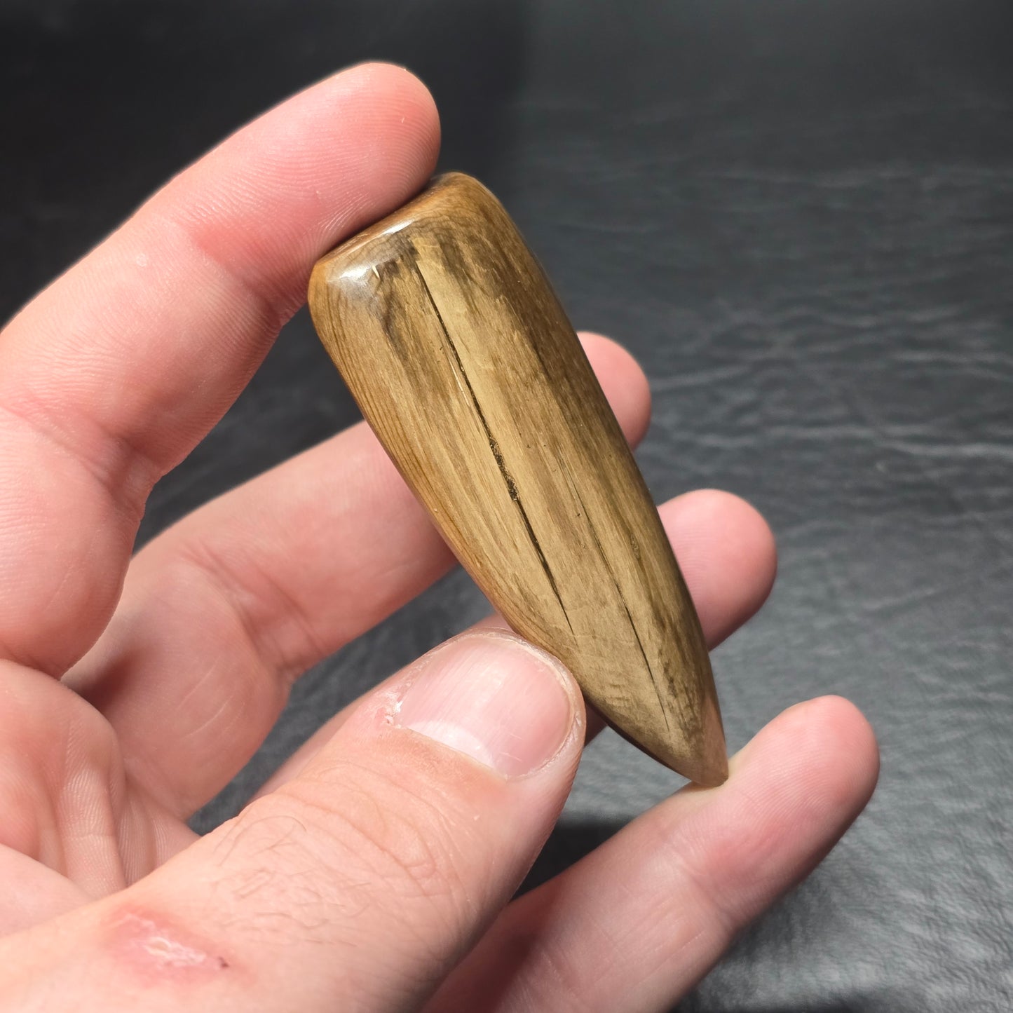 Petrified Wood Freeform