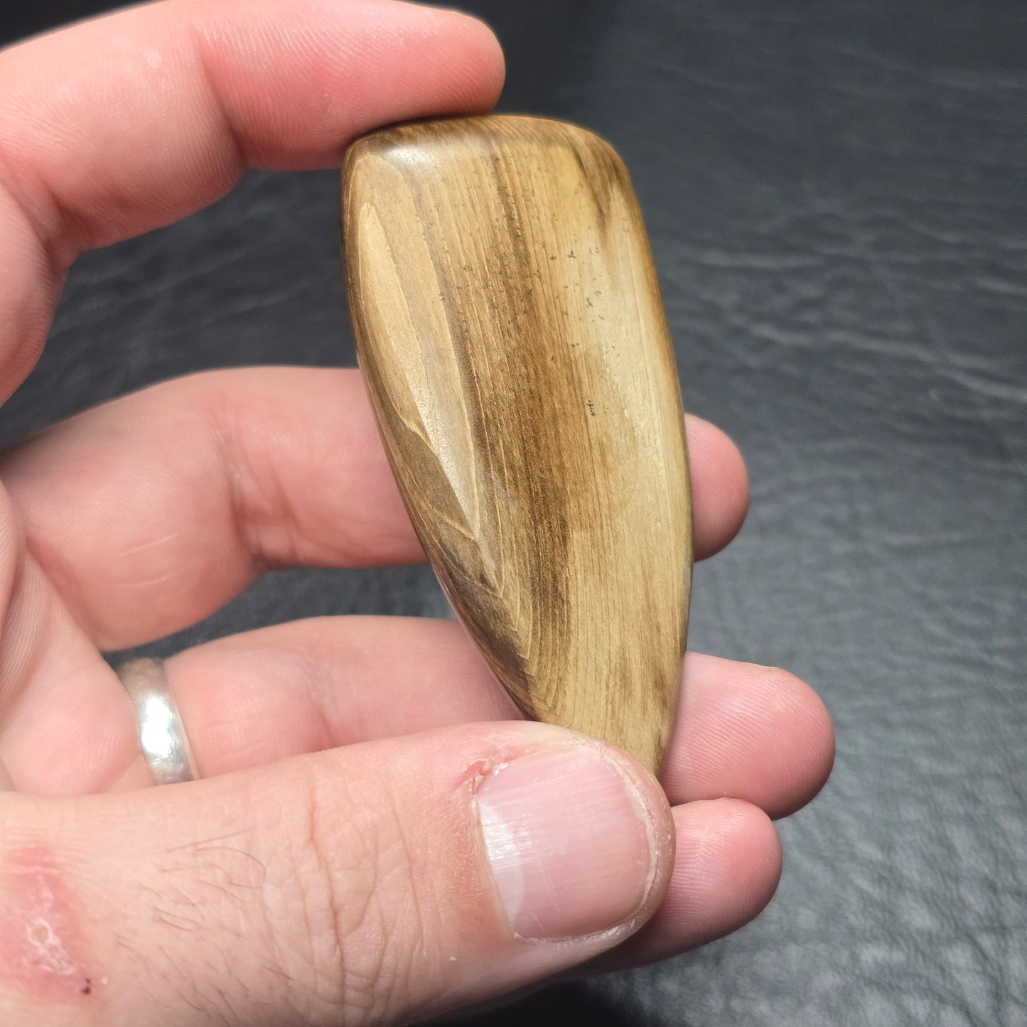 Petrified Wood Freeform