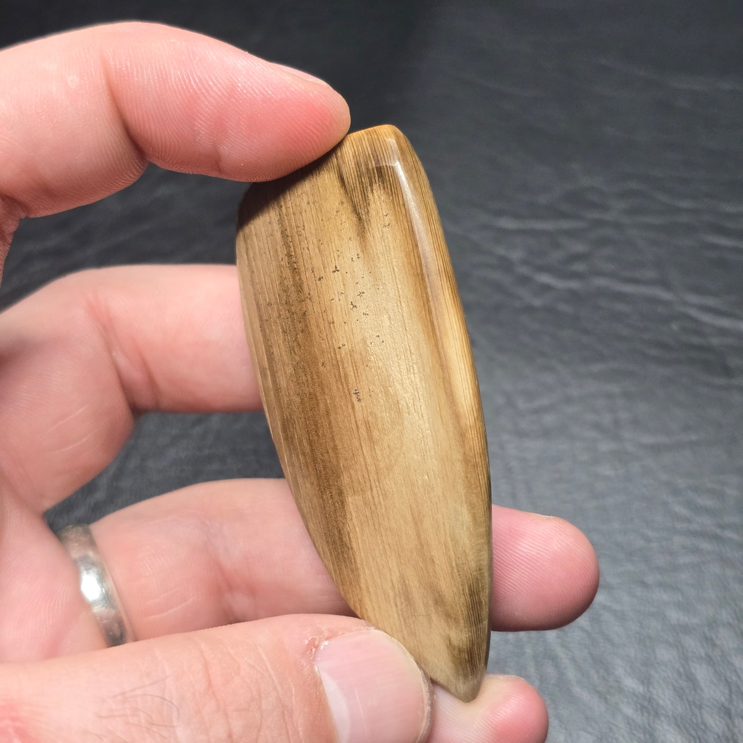 Petrified Wood Freeform