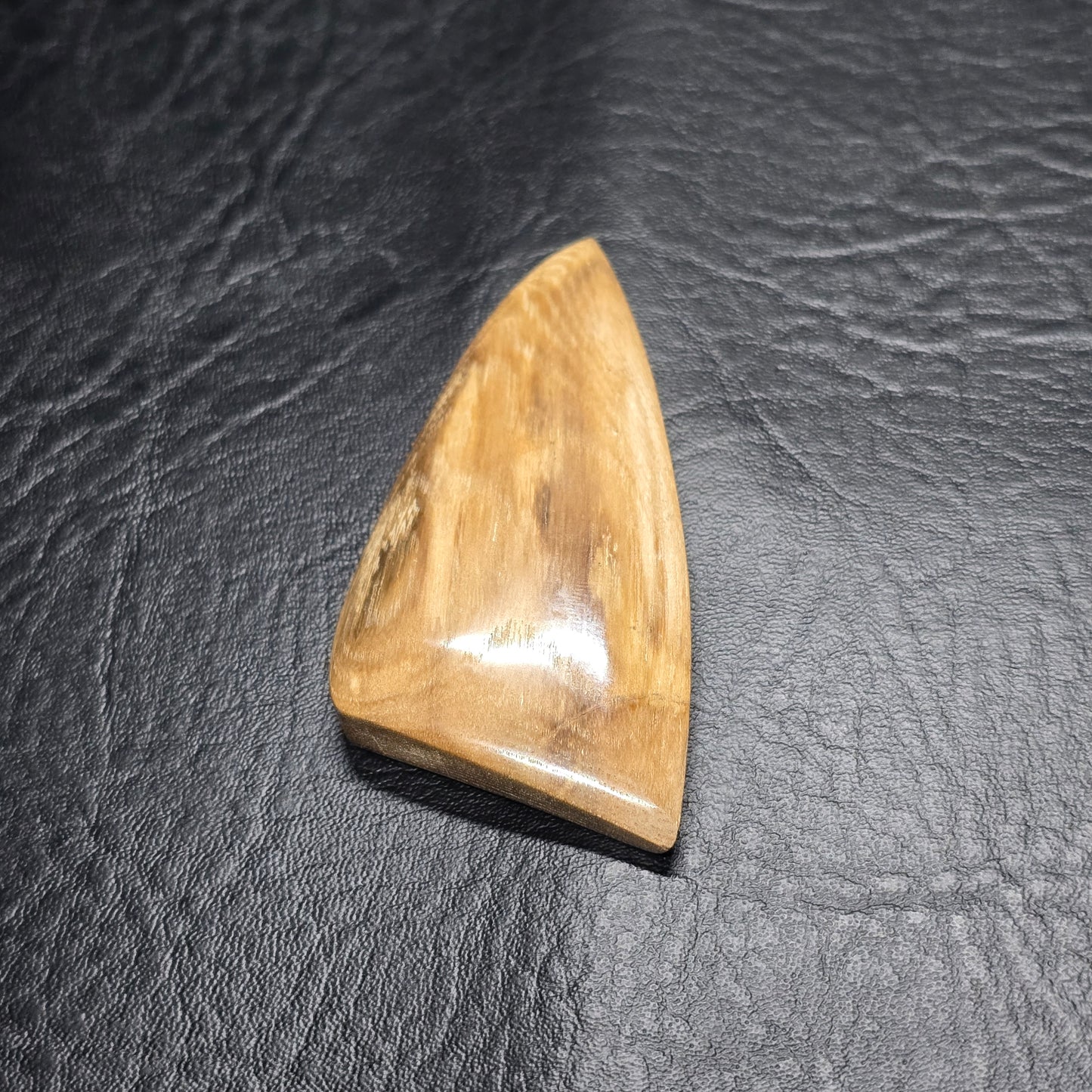 Petrified Wood Freeform
