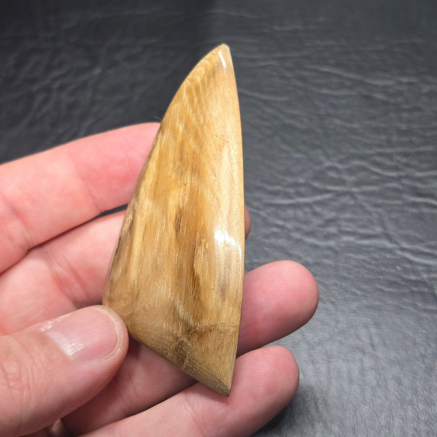 Petrified Wood Freeform
