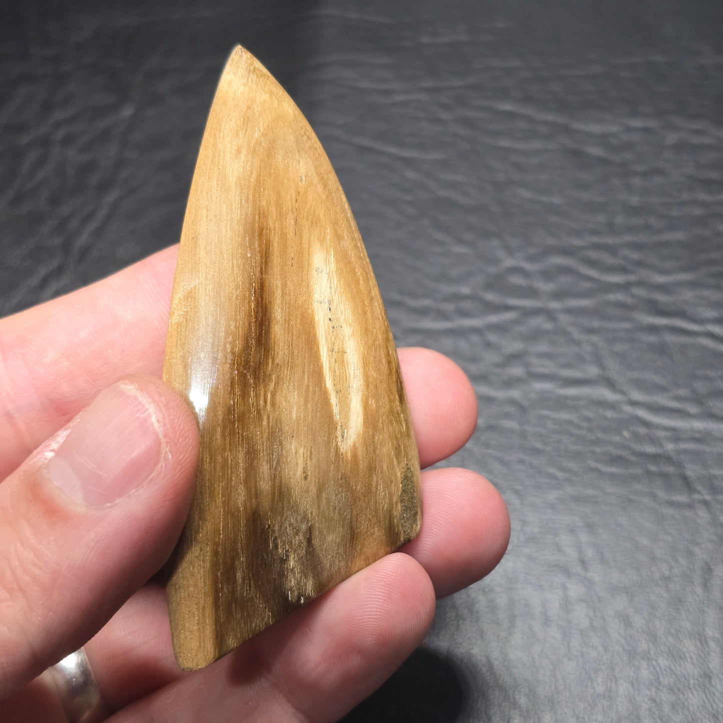 Petrified Wood Freeform