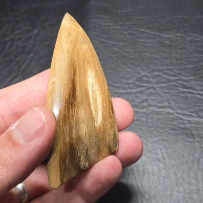 Petrified Wood Freeform