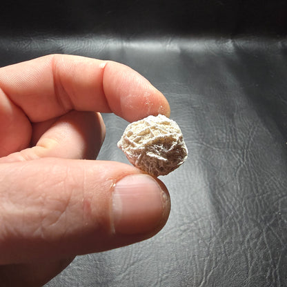 Desert Rose Small