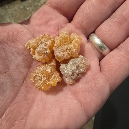 Frankincense B Grade
